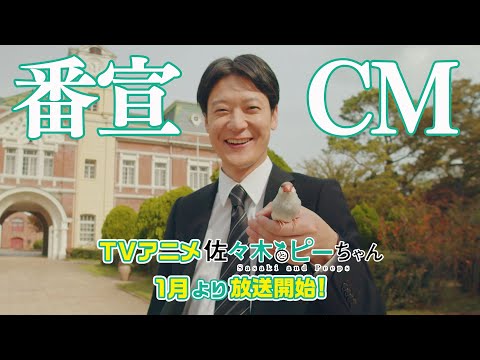 Трейлер CM1