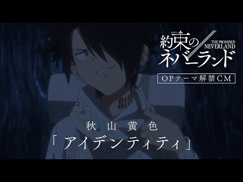 Трейлер CM3